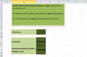 Excel FunciónFin.Mes Pago días 20